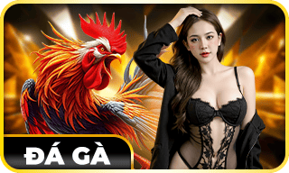 ĐÁ GÀ